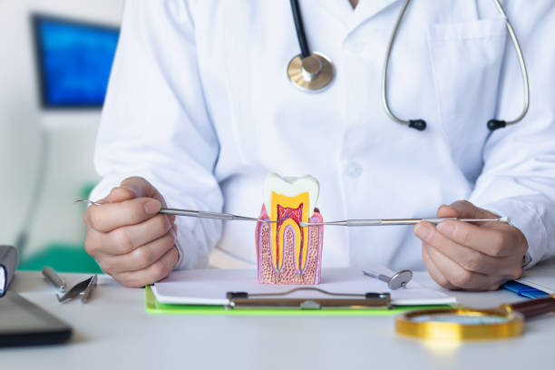Best Emergency Dental Care for Abscessed Tooth in Ofallon, IL